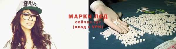 гидра Бронницы