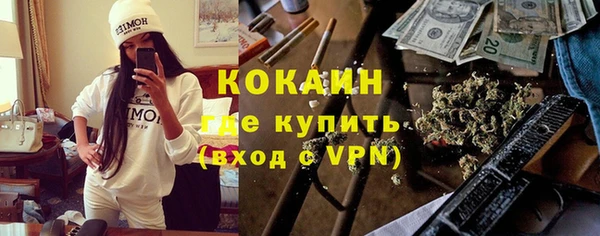 гидра Бронницы