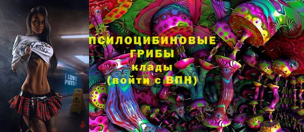 гидра Бронницы