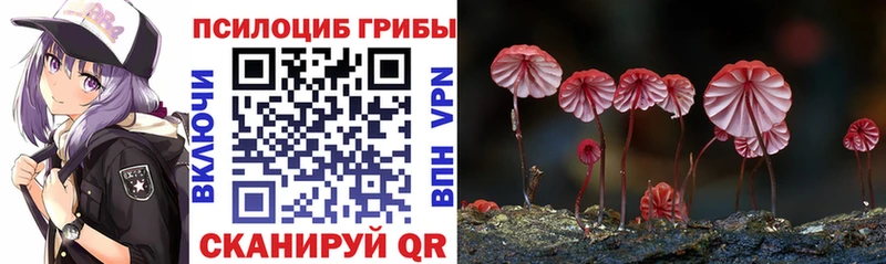 Псилоцибиновые грибы ЛСД  продажа наркотиков  hydra как войти  Крым 